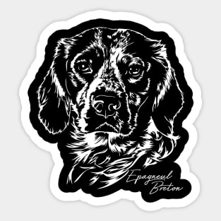 Epagneul Breton dog Portrait Sticker